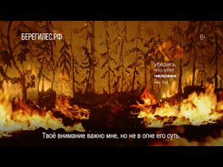 Каждый год в России пожар проходит площадь 100 000 гектаров леса. Это около 400 миллионов деревьев. В 9 из 10 случаев причиной л