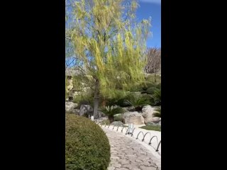 ⏰Мало кто знает, что…

Японский сад «Шесть чувств» создан потомственным архитектором и хранителем императорских садов в Японии —