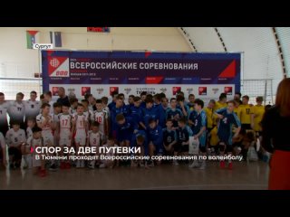 В Тюмени проходят Всероссийские соревнования по волейболу