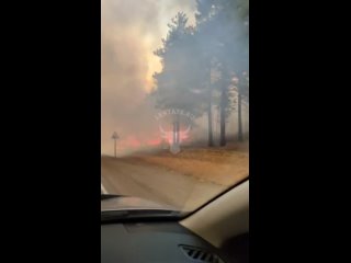 Сегодняшний пожар на пятикилометровом участке федеральной трассы Чита-Забайкальск возле СНТ Разведчик недр