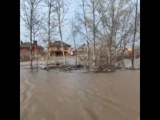 Дома затопило под крышу. Передвигаться можно только на лодке. Посёлок Дубовый Плёс в Оренбурге полностью ушёл под воду