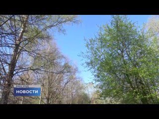 Жители Псковской области смогут отдать свой голос за благоустройство городской среды