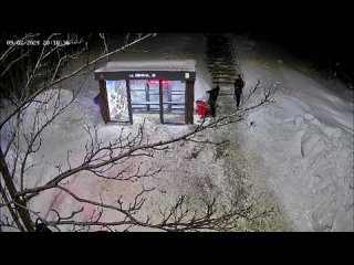 Вандалы разрисовали остановку в Кировске, видео: Дтп Чп