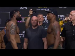 Кёртис Блэйдс 🆚 Жаилтон Алмейда - Финальная битва взглядов перед UFC 299