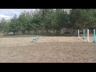 Видео от КФХ Приволье (лошади, постой)