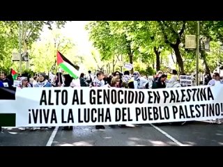 Des milliers de manifestants se sont rassembls  Madrid pour exiger un cessez-le-feu immdiat dans la bande de Gaza