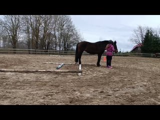 Video by Покататься на лошадях в Ропше  +79095830922