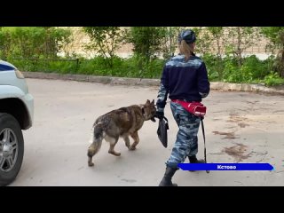 Трагедия в Кстове: 26-летний местный житель обвиняется в убийстве собственной матери