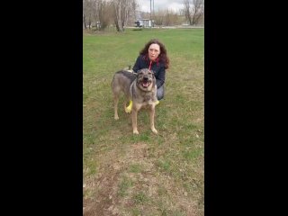 Доброе утро 🌦️

Френд с мам Наташей обожают долгие прогулки 🐕🧍🏻‍♀️

Гуляя, они не заметили 😯
 как ноги сами привели 
их в приют