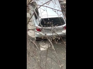 Водитель мастурбировал за рулём в одном из дворов на Ямской, 112😨

Присутствие случайных очевидцев мужика ничуть не смутило.