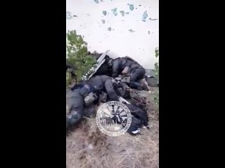 Про польских военных можно даже не говорить. Они с первого дня на СВО.