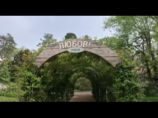 Видео от Новости Сочи 24