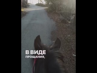 vika_volkova56_2024-05-02-18-08-49_1714637329348.mp4