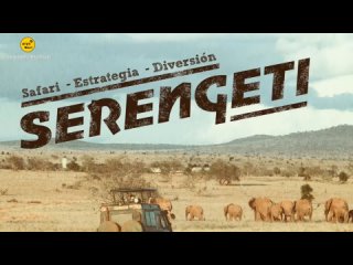 Serengeti: A Safari Board Game [2020] | Aprende a jugar Serengeti - Juego de Mesa [Перевод]