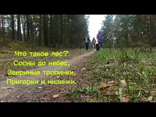Видео от Пионерская дружина ГУО Раёвская базовая школа