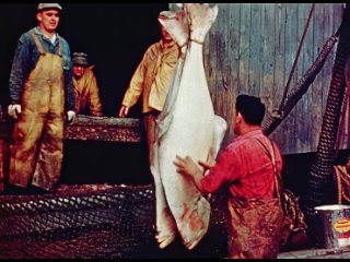 Fishing in Nova Scotia in 1951