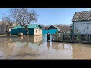 Спасатели Татарстана в Оренбургской области спасли кота Ваську