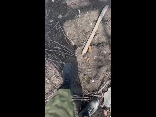 Видео от Поддержка военнослужащих 16 «АНГЕЛАМ ВОйНЫ»