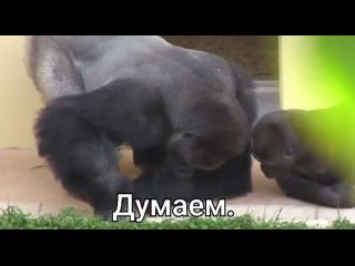 Мыслители :