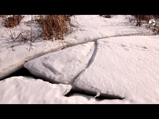 Последний лед на Ижевском пруду  часть 1