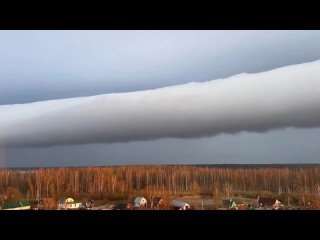 Обзор новостей Ленобласти: ремонт Красносельского шоссе, прием заявок на участие в «Ладоге-2024», Всероссийский субботник