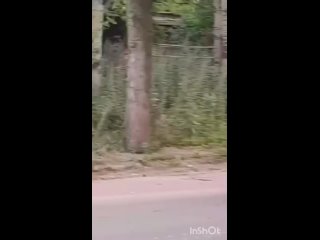 Видео от Мордовия СВОих НЕ бросает