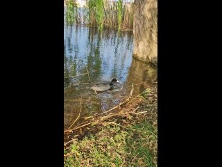 Видео от Наталии Новиковой