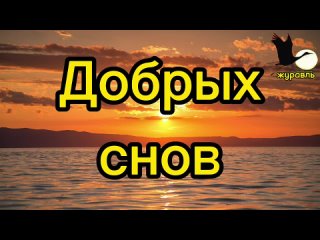 Спокойной ночи.