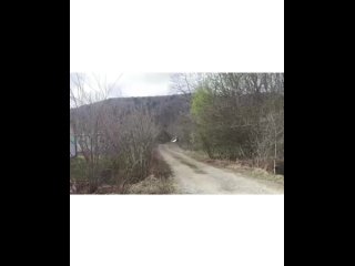 Картинки со смыслом или без... (видео)