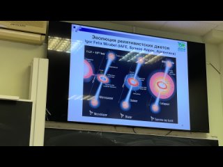 И. Куликов. Суперкомпьютерное моделирование релятивистских течений газа: задачи, методика и результаты