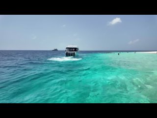 Maldives clip 2024