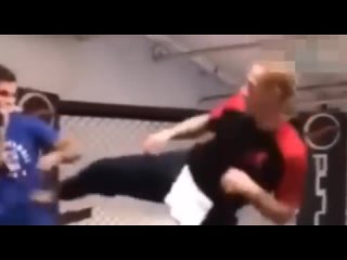 Жан-Клод Ван Дамм vs Коди Гарбрандт. Конфликт с чемпионом UFC