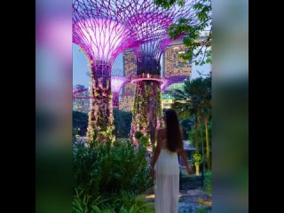 Ботанические сады у Залива в Сингапуре. Словно другая планета...