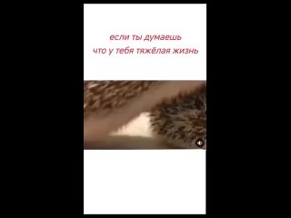 Удивительный Мир