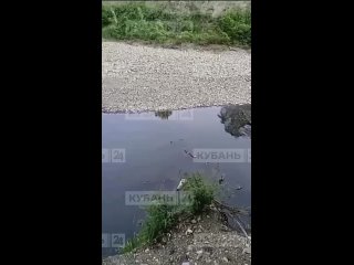Сочинская река Восточный Дагомыс стала черной