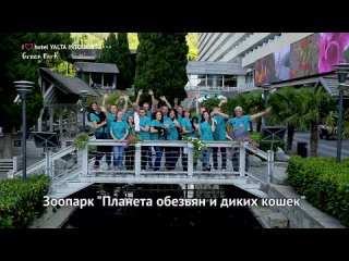 Чем удивительны малыши зоопарка Yalta Intourist