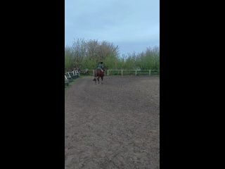 Видео от “Подкова Rarity“  Пони и лошади г. Саранск