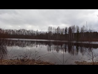 Ручеёк разлился весна,банька...Отрадное...Покупашки продолжаются...