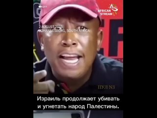 Лидер партии «Борцы за экономическую свободу» ЮАР Джулиус Малема