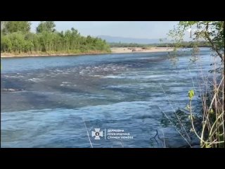 В реке Тисе выловили тела двух украинцев, которые, предположительно, пытались нелегально пересечь границуИх личности устанавли