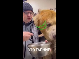 Я бы в гости к ним не ходил быА ты бы рискнул