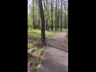 В Зеленодольске стартовали работы по обработке городских парков от клещей