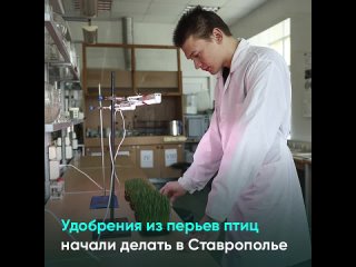 Удобрения из перьев птиц начали делать на Ставрополье