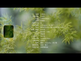 Видео от Голубая гортензия | Фан-уголок | Gong Jun