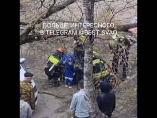 Дерево упало на человека на Студеном проезде.