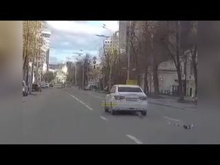 (18+) В Екатеринбурге водитель на полной скорости наехал уток, переходящих дорогу.