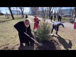 Лес Победы появился в областном центре