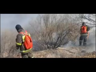 В ВКО в районе Алтай ликвидировали крупное загорание сухостоя
