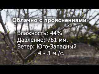 Видео от Телеканал Буревестник | Новости Чапаевск