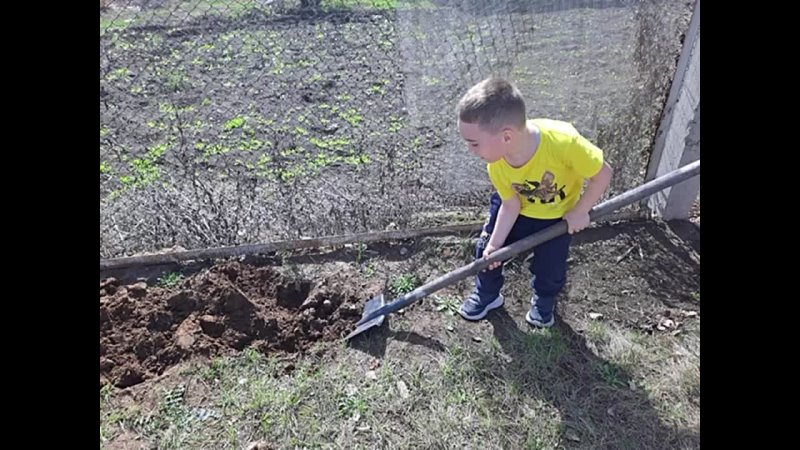 Видео от Розы